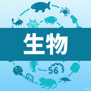 初中生物-看课盘